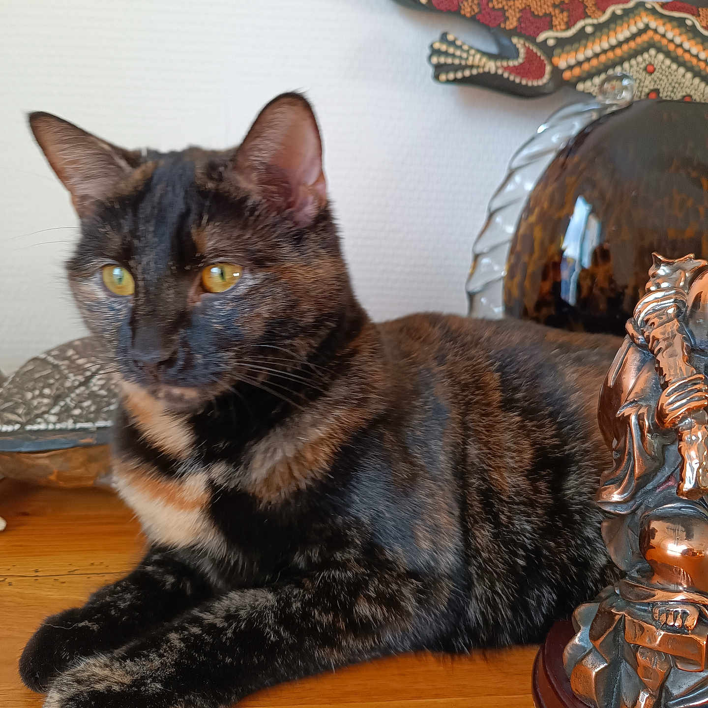 Luna participe au concours pour gagner de l'argent avec cette photo : animal, background, cat, close_up, decorative_object, ears, feline, fur, home_decor, indoor, lizard_art, orange_eyes, pet, relaxed, resting, statue, table, tortoiseshell, whiskers, wooden_surface