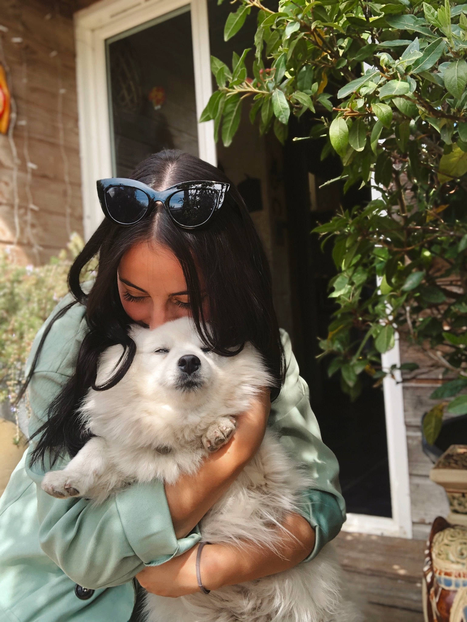 Haidie participe au concours pour gagner de l'argent avec cette photo : carnivore, companion_dog, dog, dog_breed, eyewear, fawn, flowerpot, fur, glasses, goggles, hat, houseplant, leisure, personal_protective_equipment, plant, spaniel, sporting_group, sunglasses, toy_dog, vision_care