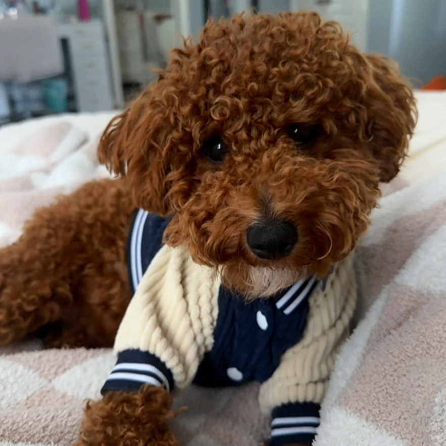 Milo
