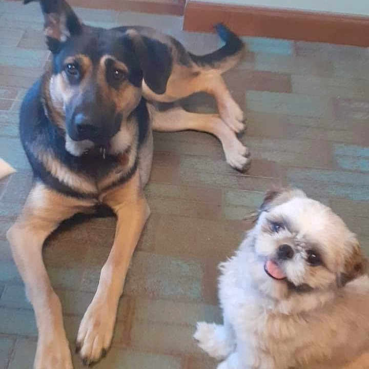 Pocka Et Cheyenne