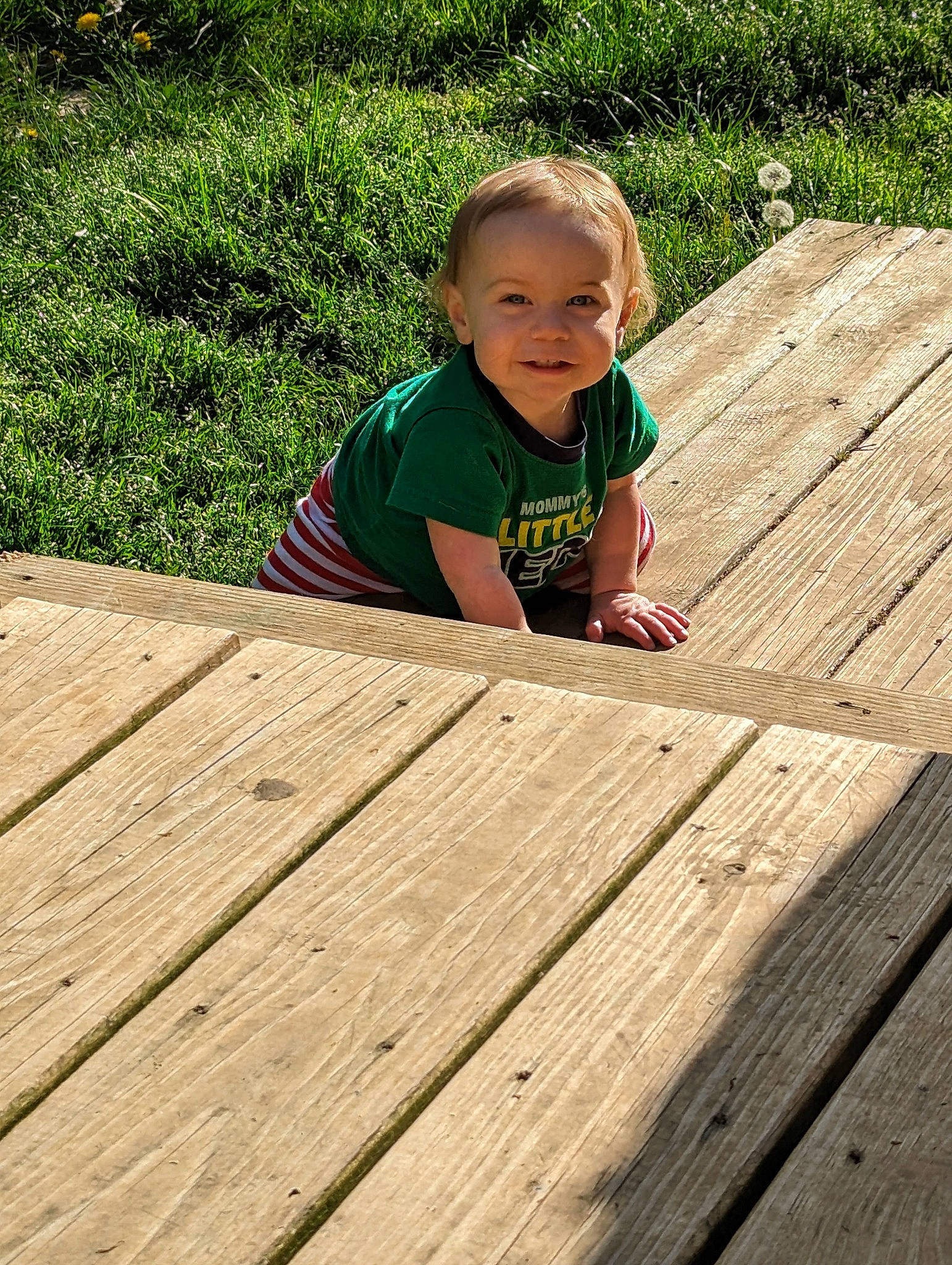 Atticus joined the competition — help win amazing prizes! baby, baby_toddler_clothing, child, face, floor, flooring, grass, happy, hardwood, leaf, leisure, people_in_nature, person, plank, plant, smile, toddler, tree, varnish, wood