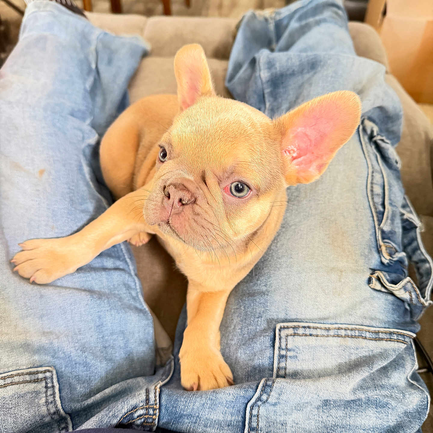 Oliver