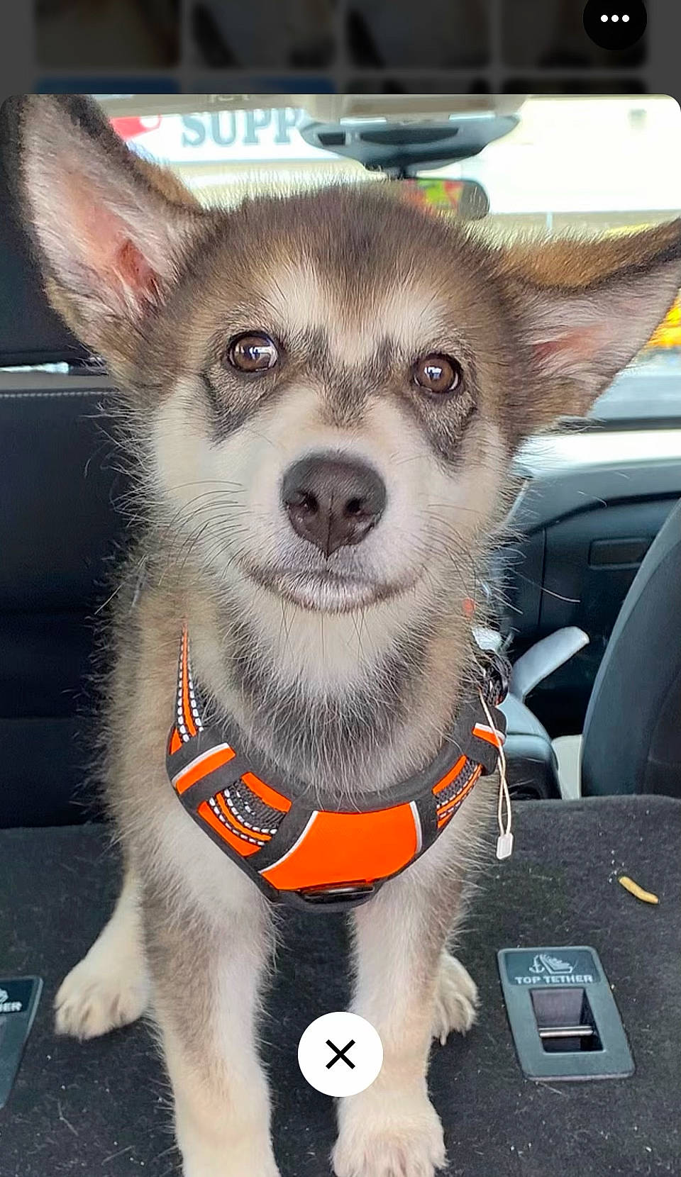 Athena