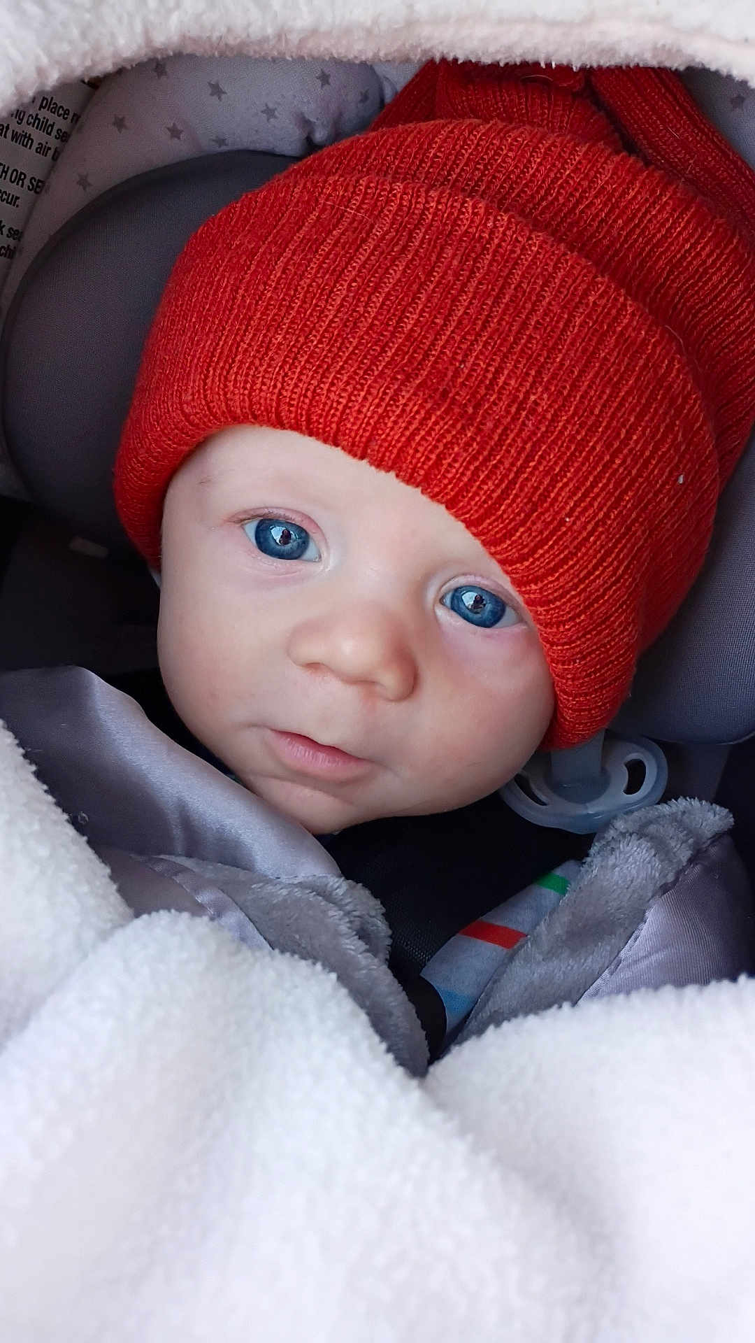 Elvis joined the competition — help win amazing prizes! baby, blue_eyes, orange_hat, blanket, car_seat, infant, close_up, face, child, knit_hat, warm, cozy, soft_texture, cute, portrait, young_child, headwear, indoor, bundle, sleepy