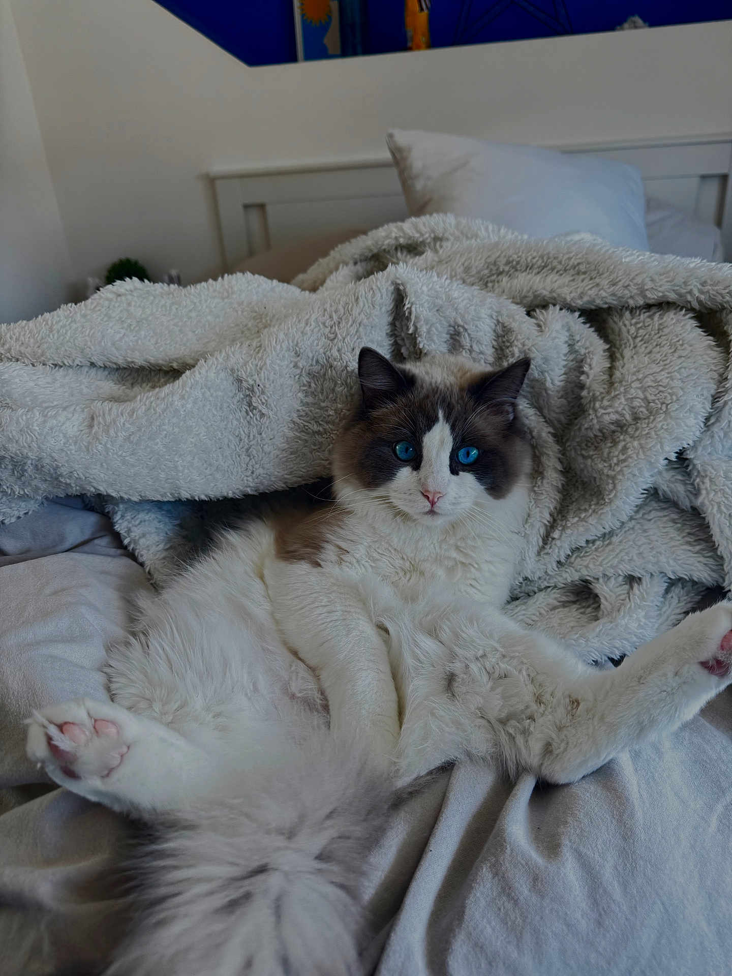 Milo