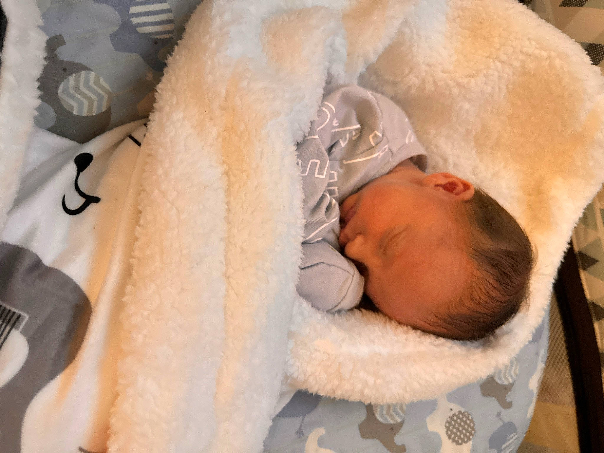 Lennox is registered to the contest to win money with this photo: baby, baby_products, baby_safety, baby_sleeping, baby_toddler_clothing, bedtime, child, comfort, ear, fur, hat, infant_bed, linens, nap, person, sleep, textile, toddler, wool