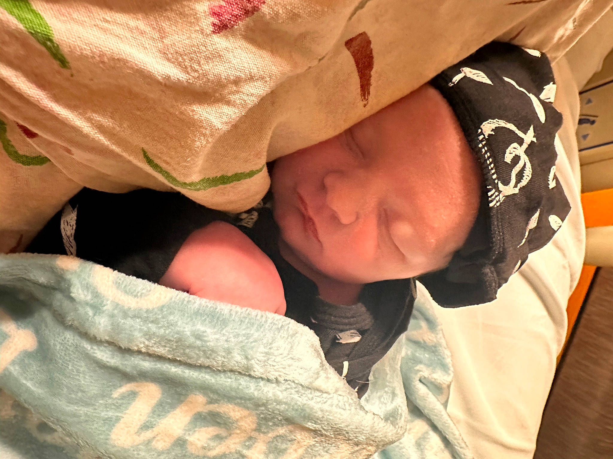 Lennox joined the competition — help win amazing prizes! child, comfort, elbow, fashion_accessory, flesh, fun, fur, gesture, glasses, happy, headwear, linens, love, pattern, person, sitting, sleep, sleeve, sunglasses, tree