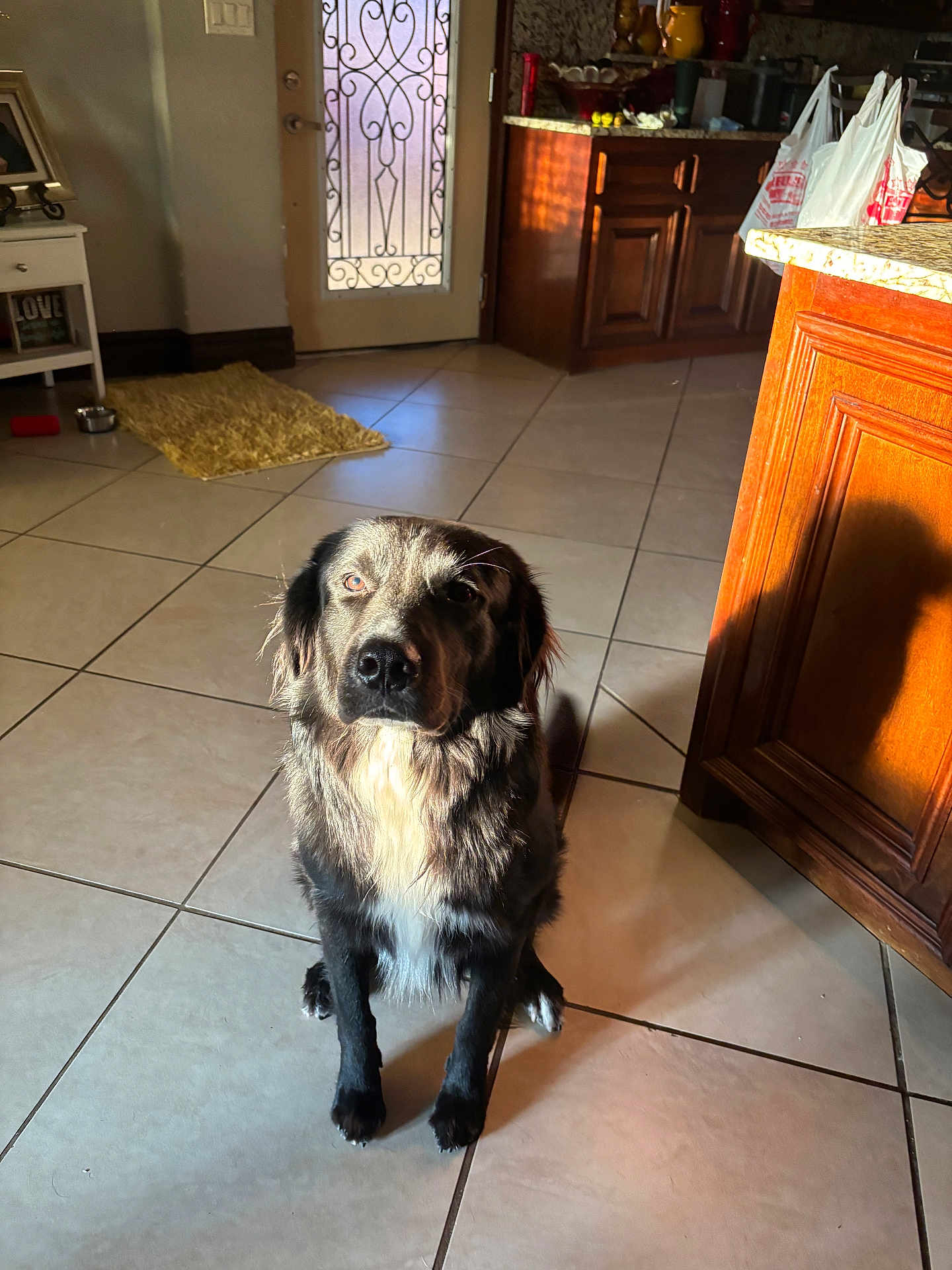 Shadow