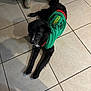 dog, black_dog, sweater, green_sweater, floor, tile_floor, person, shoe, shoe_laces, tying_shoes, indoor, pet, canine, curious, laying_down, looking_up, casual, candid, home, feet