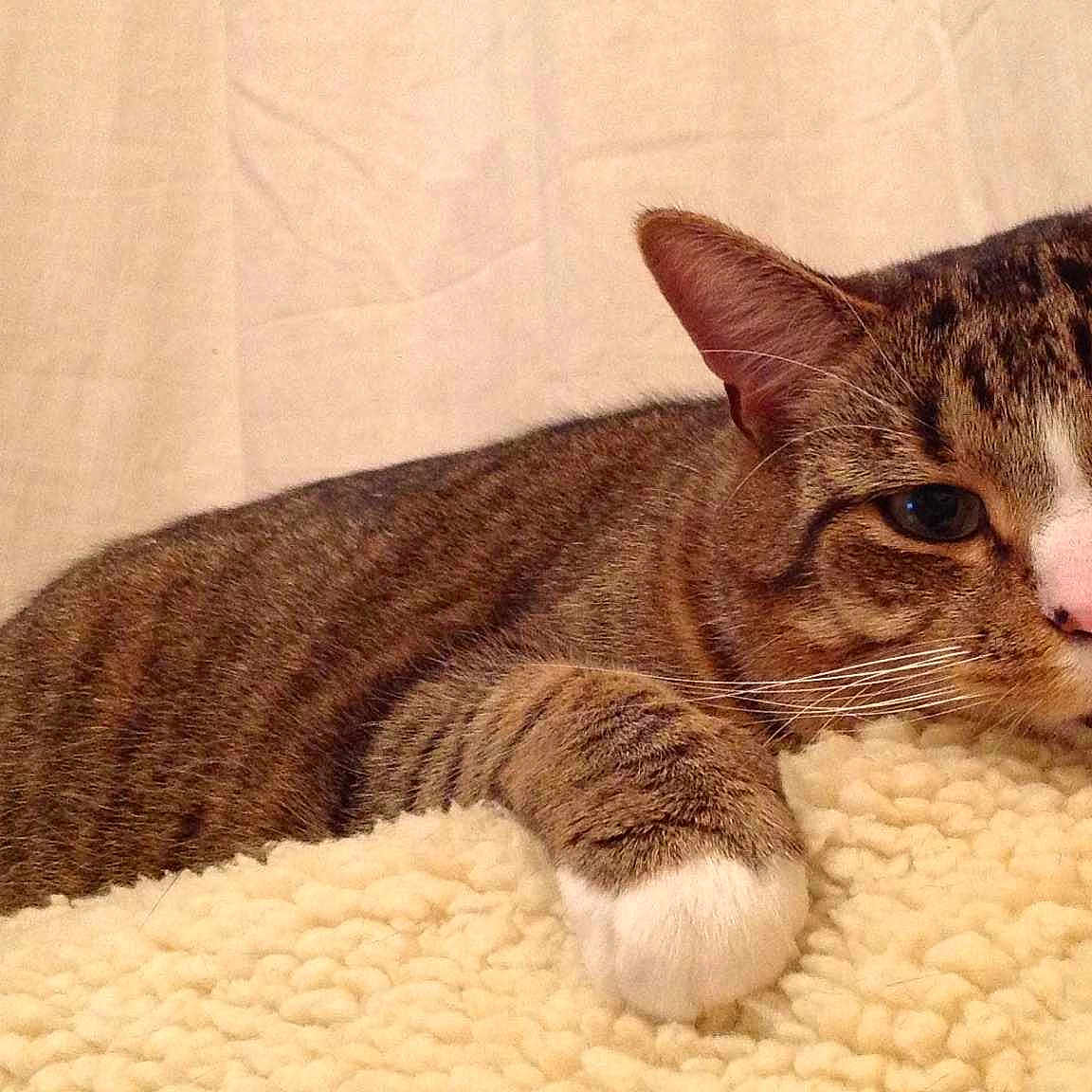 Ollie joined the competition — help win amazing prizes!