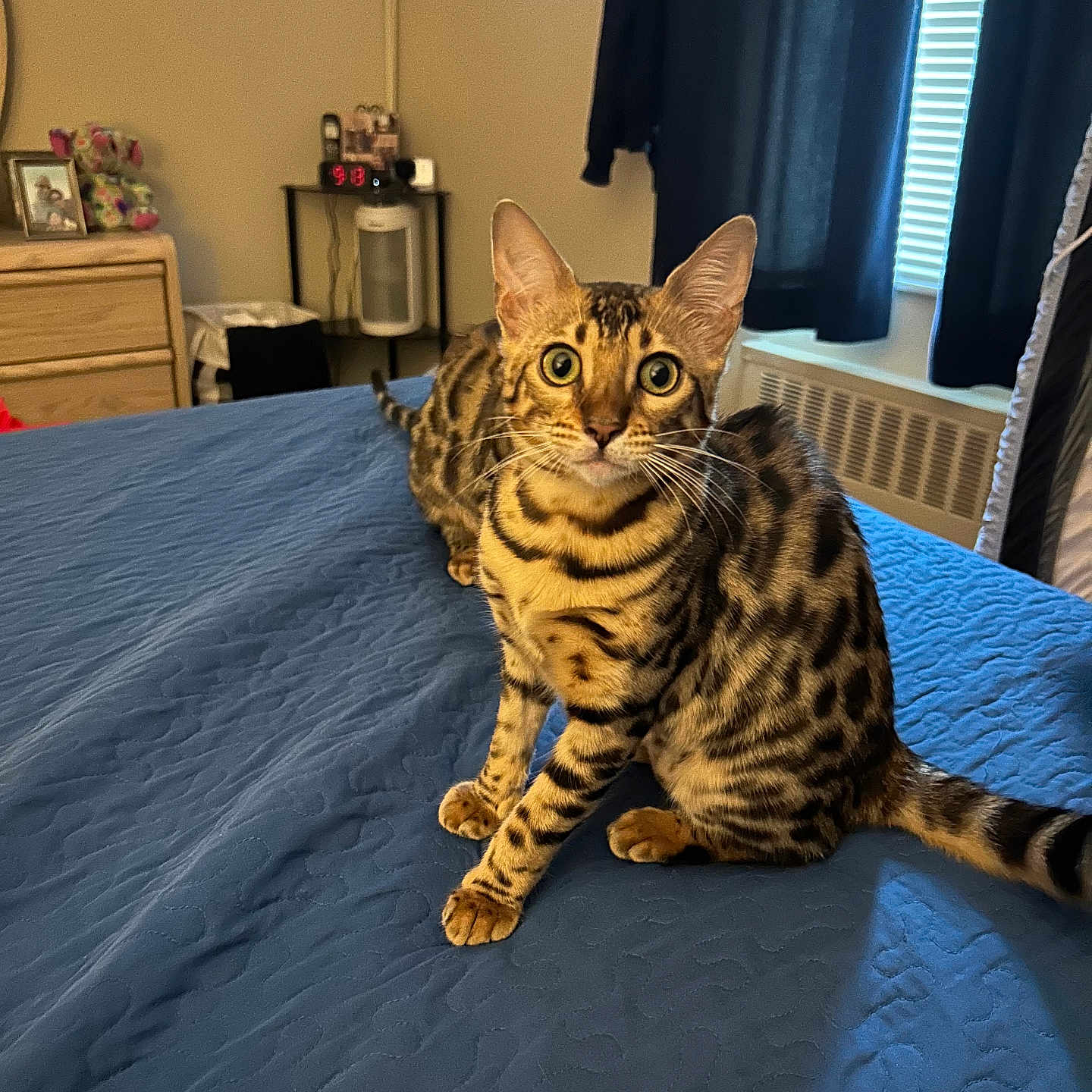 Luna