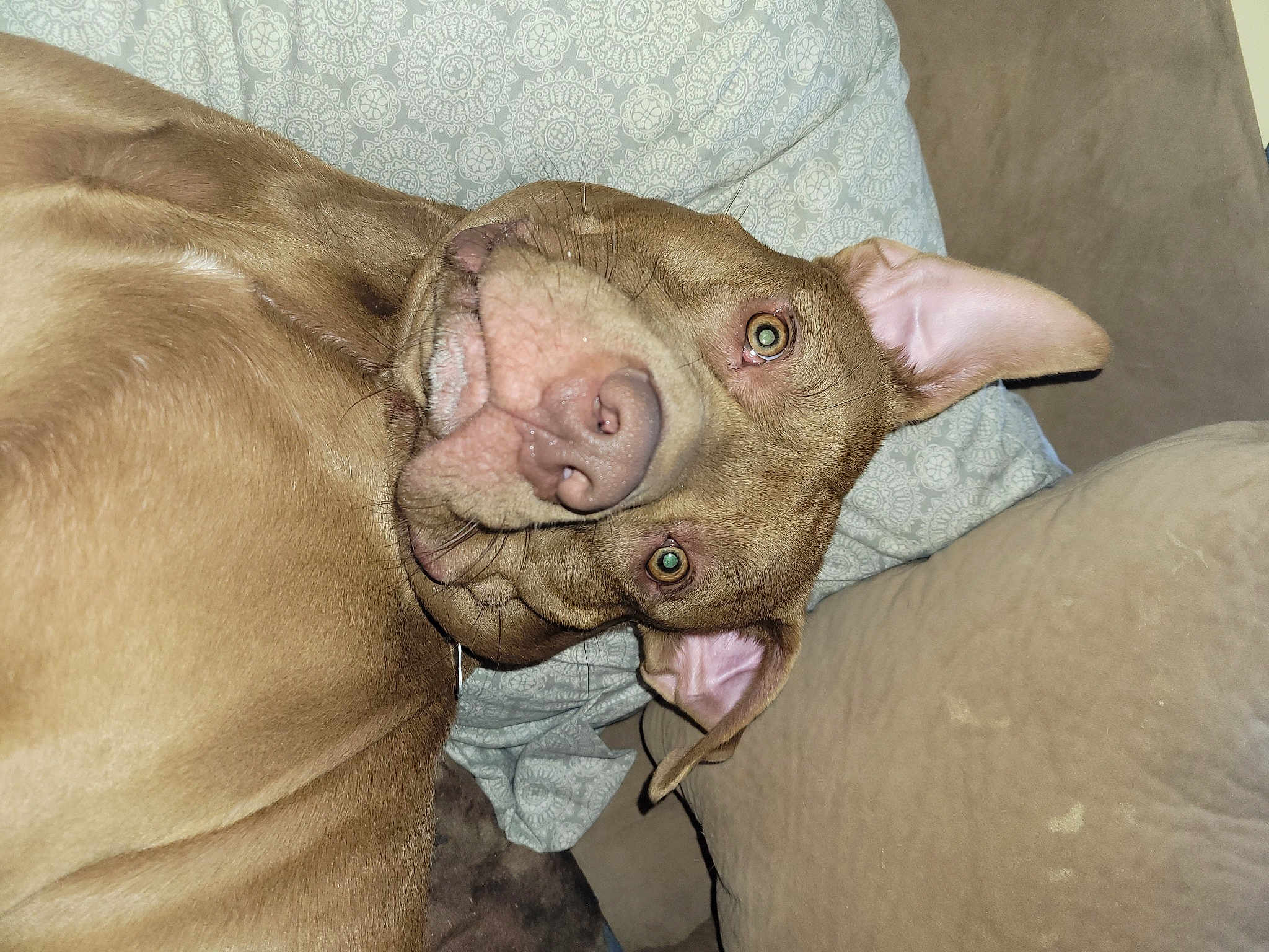 Roscoe