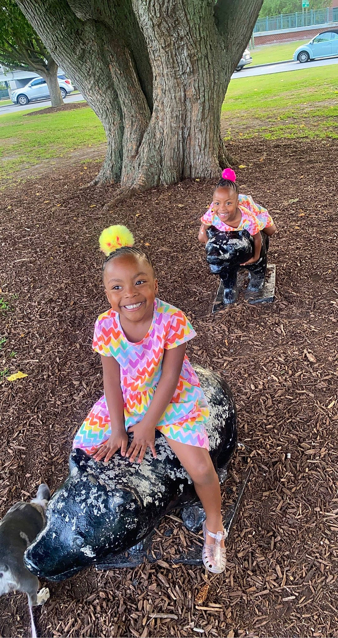 Allyson Alleyah is registered to the contest to win money with this photo: adaptation, botany, event, fun, grass, green, happy, joy, leaf, leisure, people_in_nature, person, pink, plant, recreation, shoe, shorts, smile, t_shirt, toddler