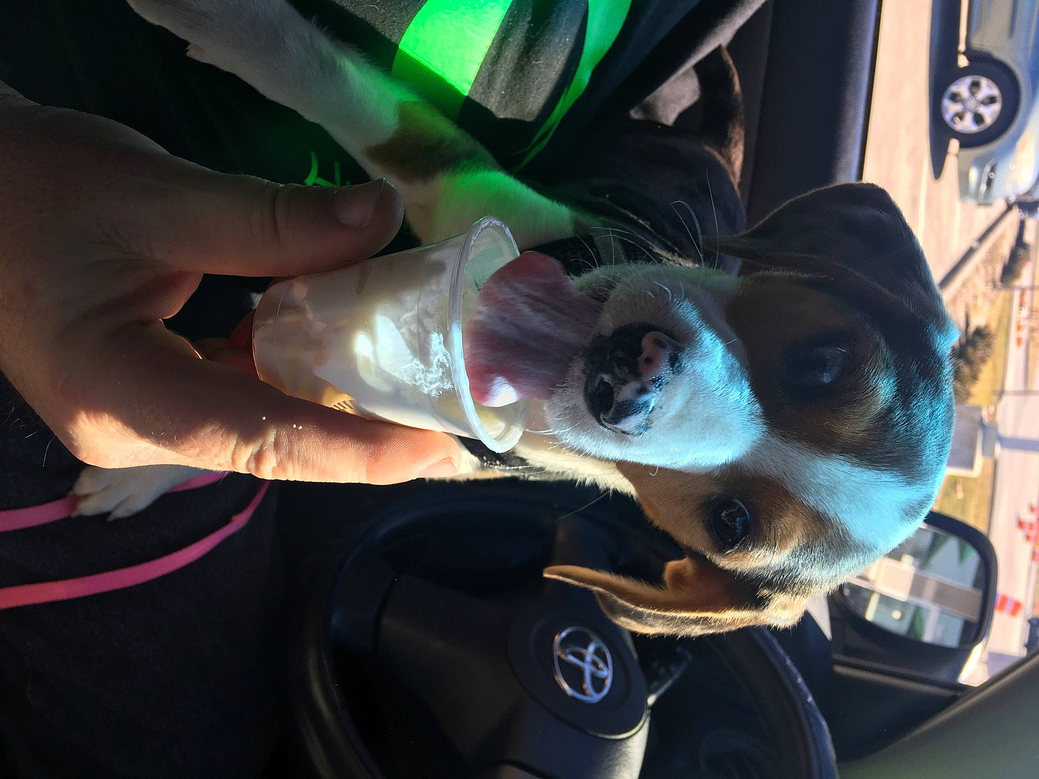 Ivy Jade is registered to the contest to win money with this photo: automotive_design, automotive_exterior, automotive_lighting, automotive_mirror, automotive_window_part, car, car_seat, eyewear, finger, goggles, hand, hood, motor_vehicle, personal_protective_equipment, steering_part, steering_wheel, sunglasses, vehicle, vehicle_door, windshield