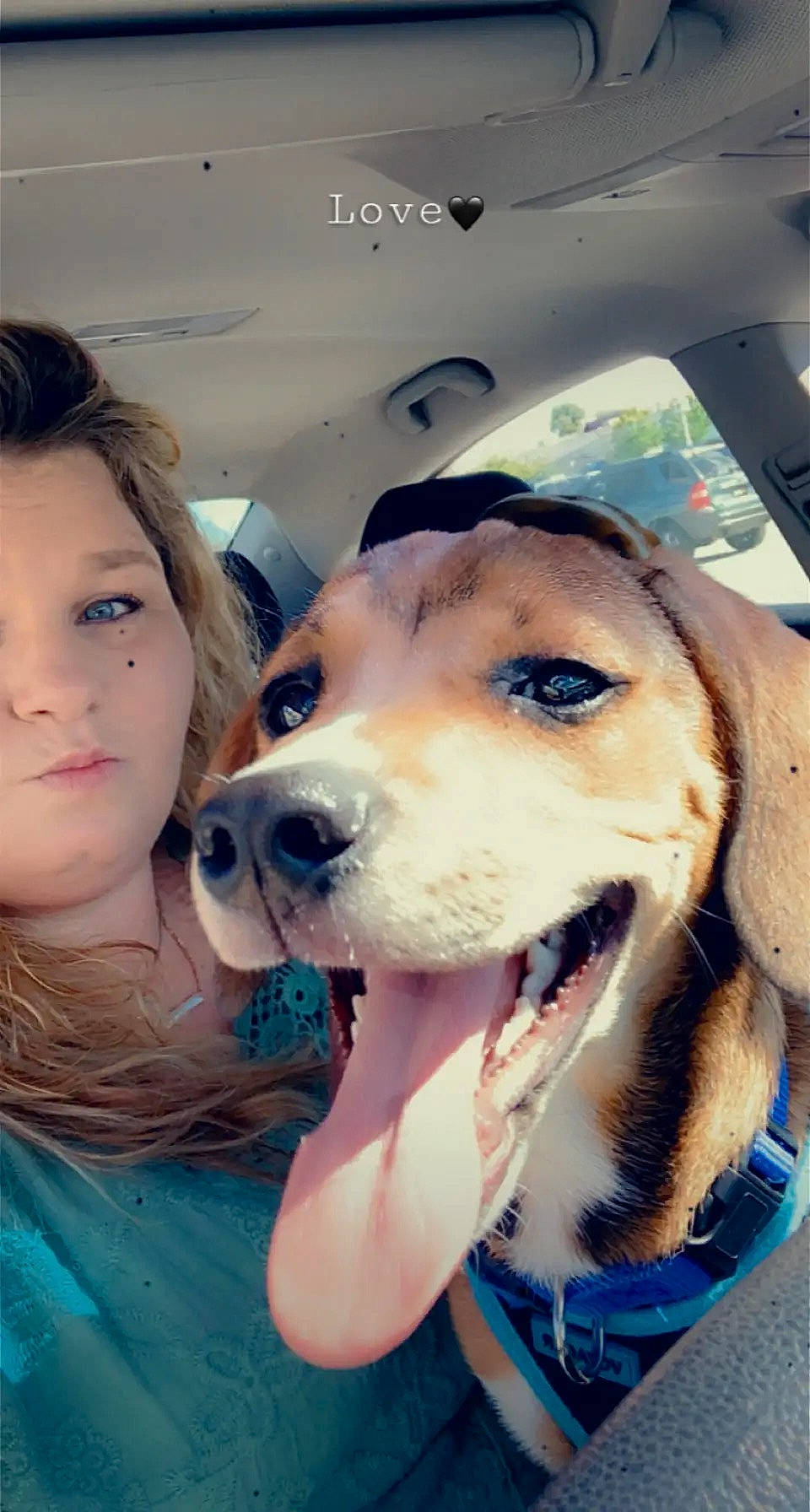 Cooper Lee is registered to the contest to win money with this photo: carnivore, collar, companion_dog, dog, dog_breed, dog_collar, eyewear, fawn, fun, fur, happy, leash, nose, puppy_love, recreation, selfie, smile, snout, sporting_group, whiskers