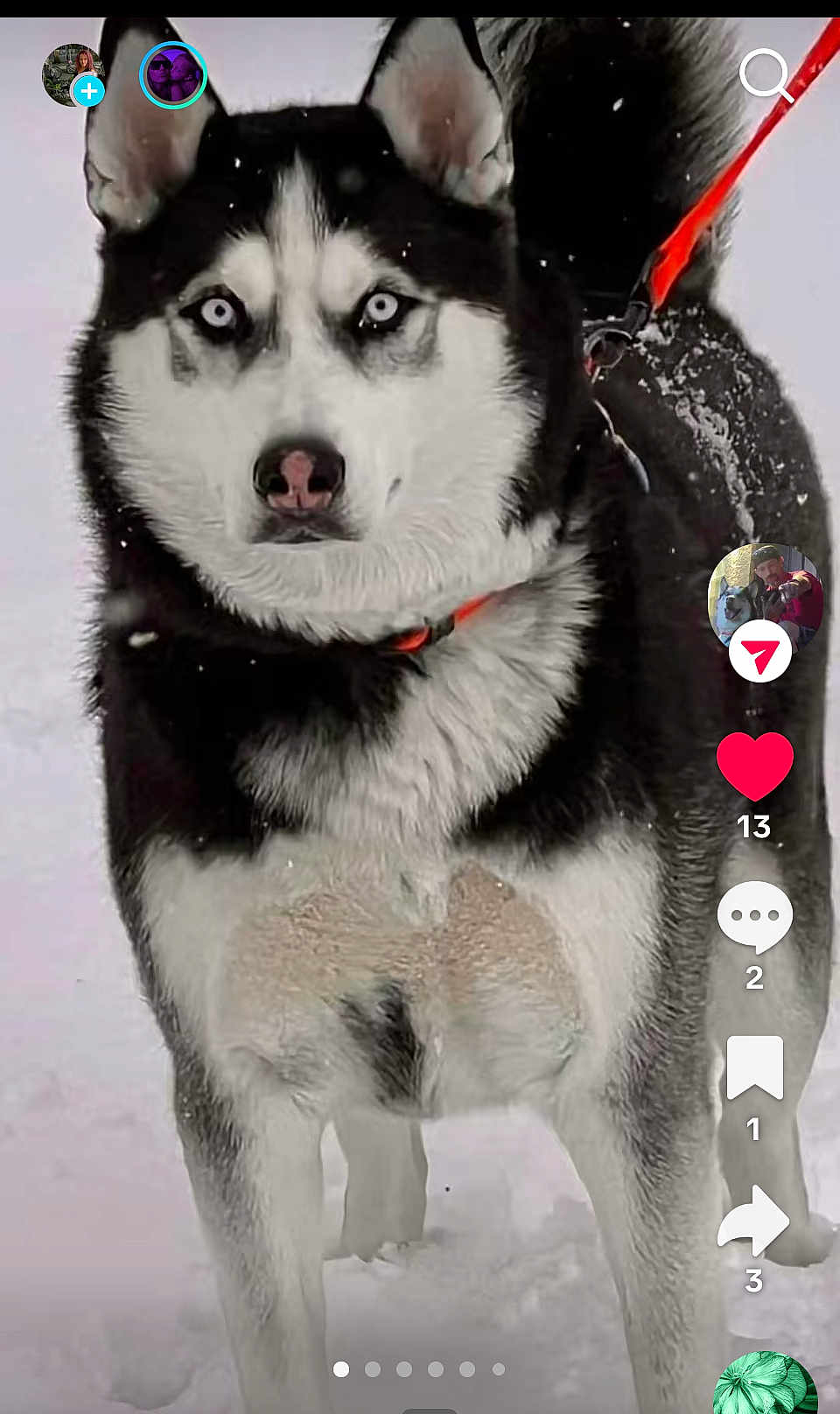 Fenris