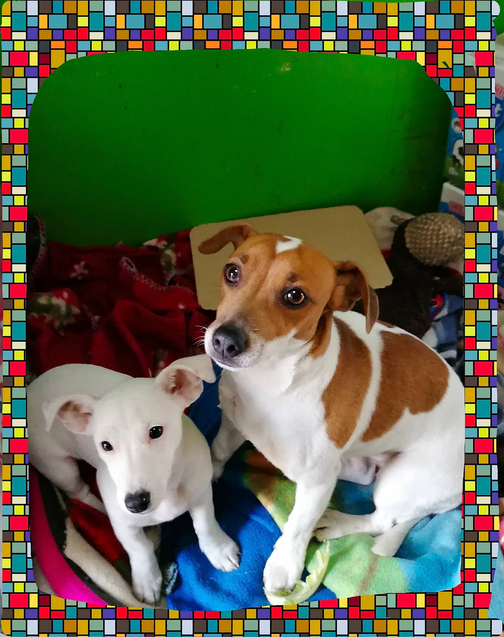 Prune a rejoint le concours — aidez-le/la à gagner de superbes lots ! art, book, carnivore, companion_dog, dishware, dog, dog_breed, fawn, green, illustration, painting, pattern, paw, pet_supply, photo_caption, picture_frame, poster, rectangle, serveware, working_animal