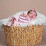 Jalaya is registered to the contest to win money with this photo: baby, sleeping, basket, blanket, pink_clothing, headband, flower_accessory, infant, soft_texture, fuzzy, cute, indoor, floor, woven_basket, peaceful, newborn, portrait, resting, child, adorable