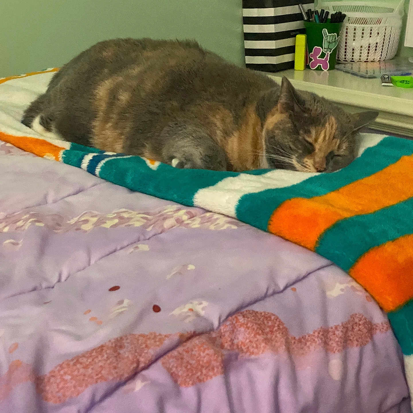 Sunnybell joined the competition — help win amazing prizes! bed, blanket, calm, cat, cozy, domestic, feline, furniture, green, indoor, nightstand, orange, peaceful, pet, purple, quilt, relaxation, resting, sleeping, stationery