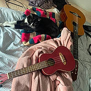 Moumoute a rejoint le concours — aidez-le/la à gagner de superbes lots ! cat, bed, blanket, guitar, ukulele, pillow, fabric, striped_blanket, black_and_white_cat, string_instrument, soft_texture, indoor, relaxed, resting, cozy, musical_instrument, wood, pink_blanket, gray_pillow, cable