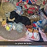 animal, bed, black_dog, blanket, carpet, comfort, cozy, dog, floor, home, indoor, pet, plush_toys, red_bus, resting, soft_toys, stuffed_animals, toy_collection, union_jack, wallpaper