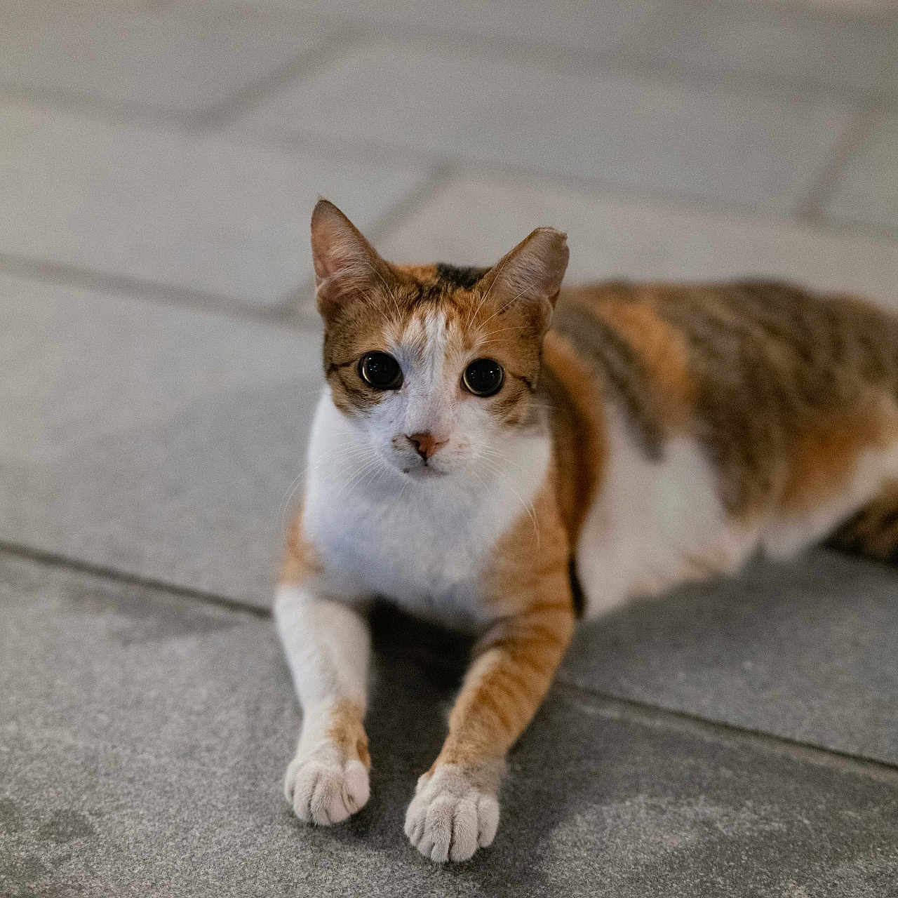 Nina