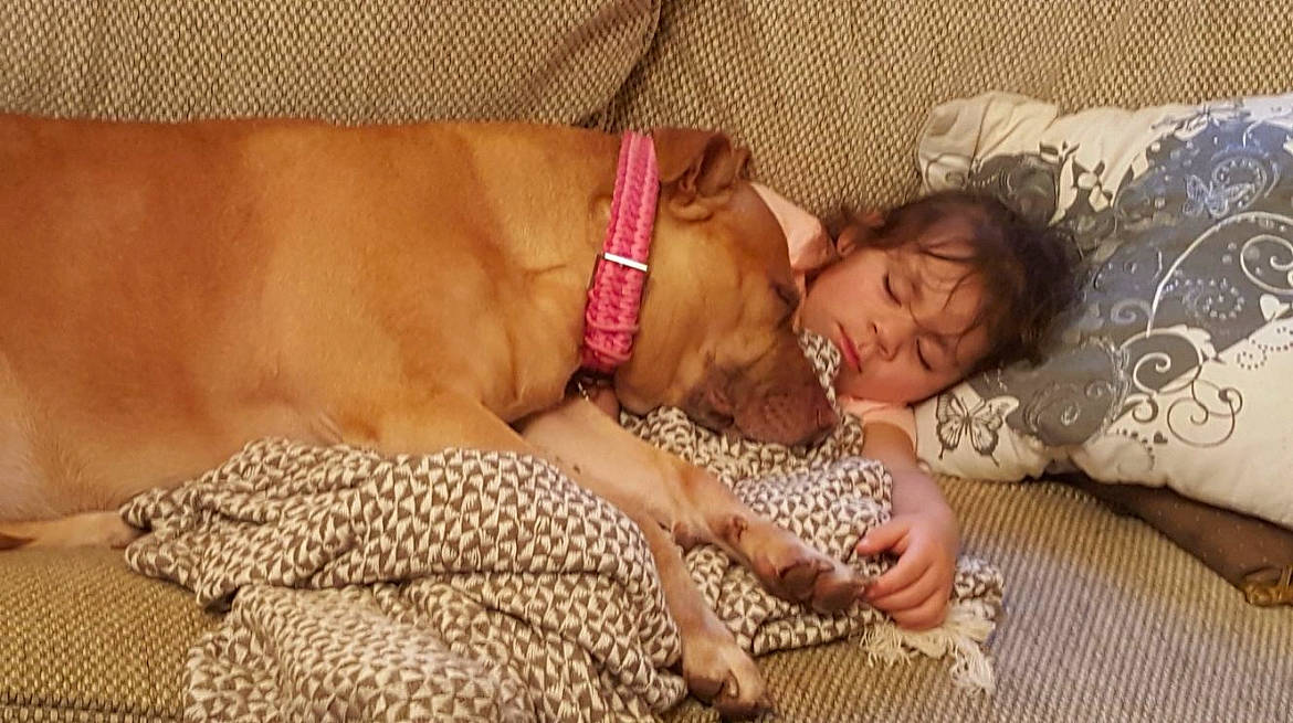 Darcie joined the competition — help win amazing prizes! abdomen, barechested, chest, child, comfort, dog_breed, fawn, finger, flooring, fun, happy, human_leg, linens, navel, skin, thigh, toddler, trunk, undergarment, wood