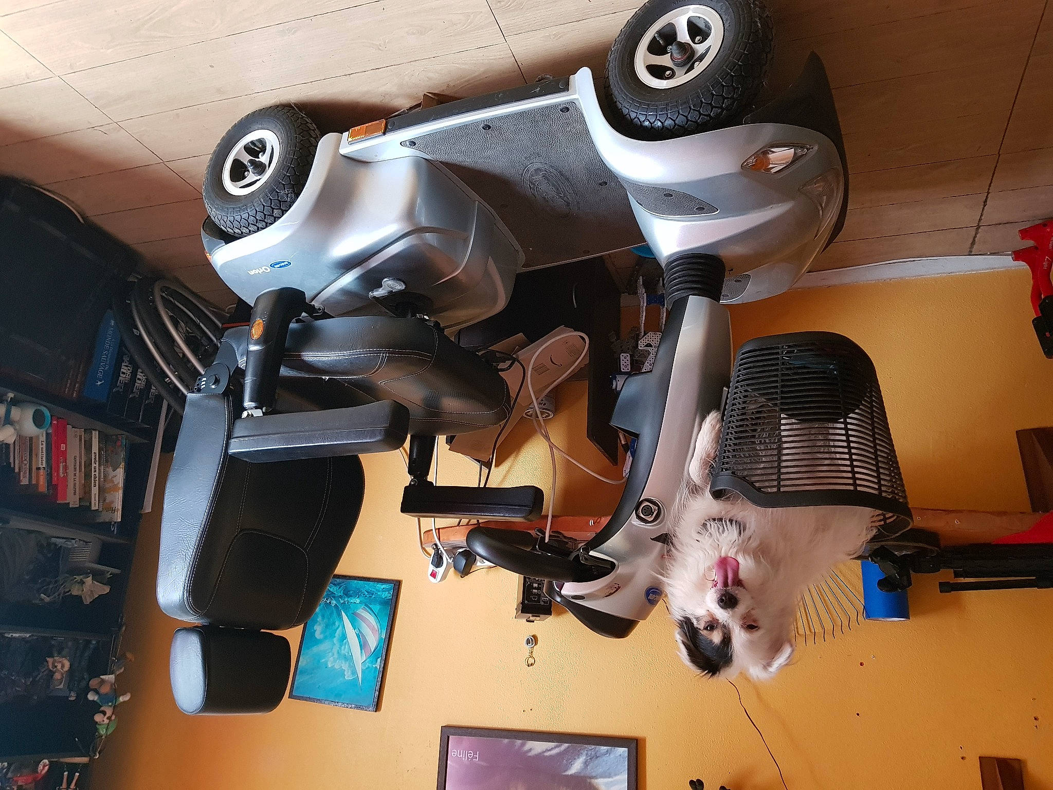 Roky participe au concours pour gagner de l'argent avec cette photo : auto_part, automotive_design, automotive_exhaust, automotive_exterior, automotive_lighting, automotive_tire, circular_saw, fender, machine, motor_vehicle, motorcycle, motorcycle_accessories, personal_luxury_car, plant, rim, tire, tool, vehicle, vehicle_brake, wheel