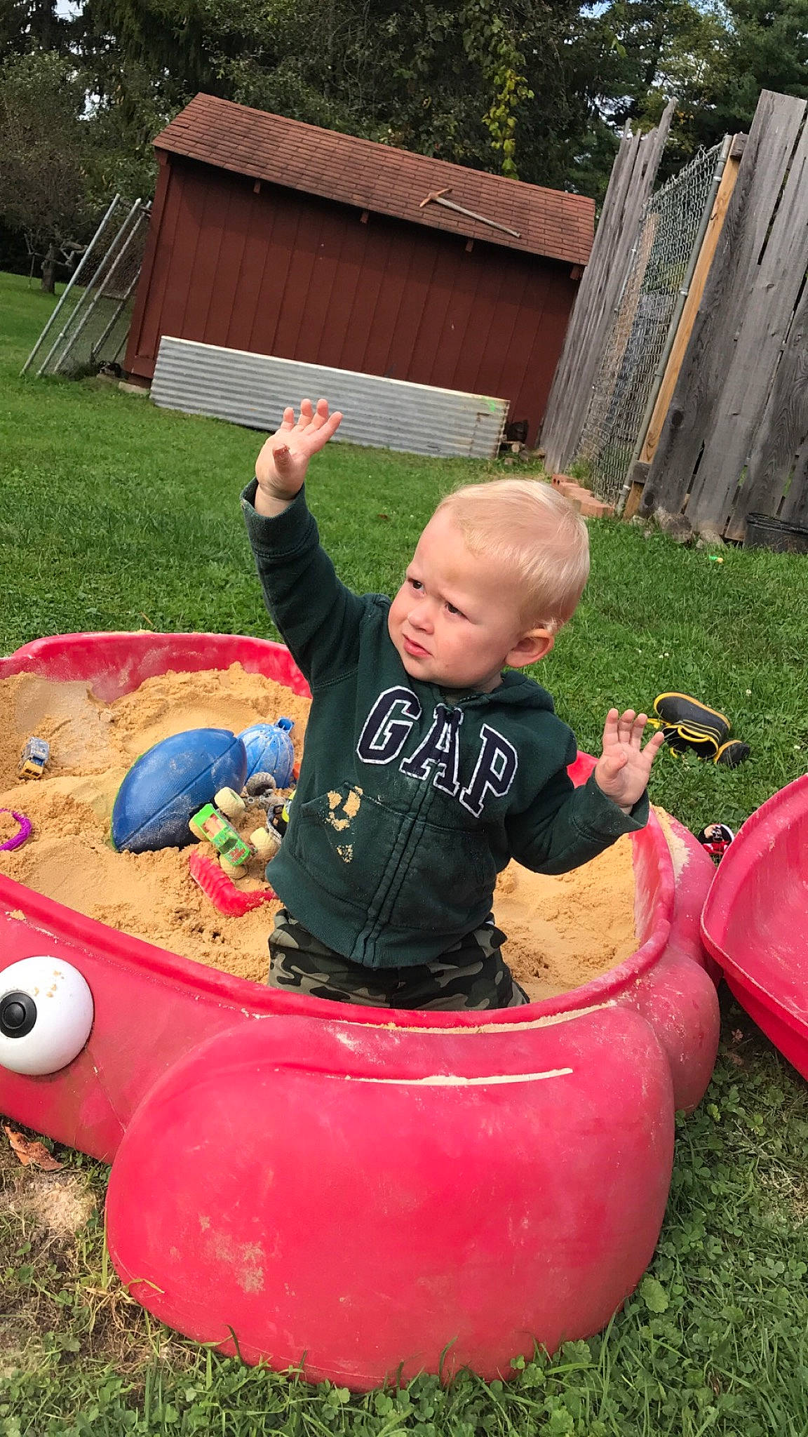 Karsen joined the competition — help win amazing prizes! baby, baby_toddler_clothing, backyard, child, fun, garden, grass, lap, lawn, leisure, person, plant, play, recreation, shorts, sitting, t_shirt, toddler, tree, wheelbarrow