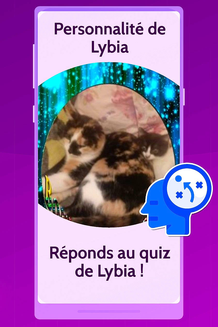Kooki a rejoint le concours — aidez-le/la à gagner de superbes lots ! cat, felidae, organism, paw, photo_caption, whiskers