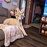 dog, white_dog, bunny_ears, hat, couch, blanket, floral_pattern, living_room, door, flooring, easter_decor, basket, wall_art, garland, shelf, ornaments, window, curtains, indoor, pet