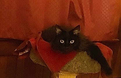 Winnie