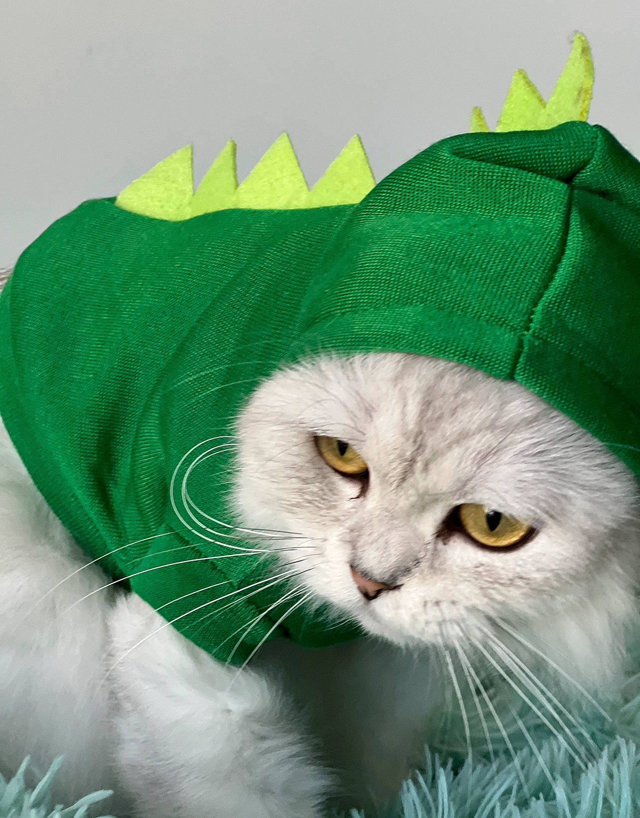 Chanel joined the competition — help win amazing prizes! art, carnivore, cat, christmas, christmas_eve, domestic_short_haired_cat, event, felidae, fictional_character, fur, grass, hat, holiday, illustration, painting, plant, small_to_medium_sized_cats, snout, tail, whiskers