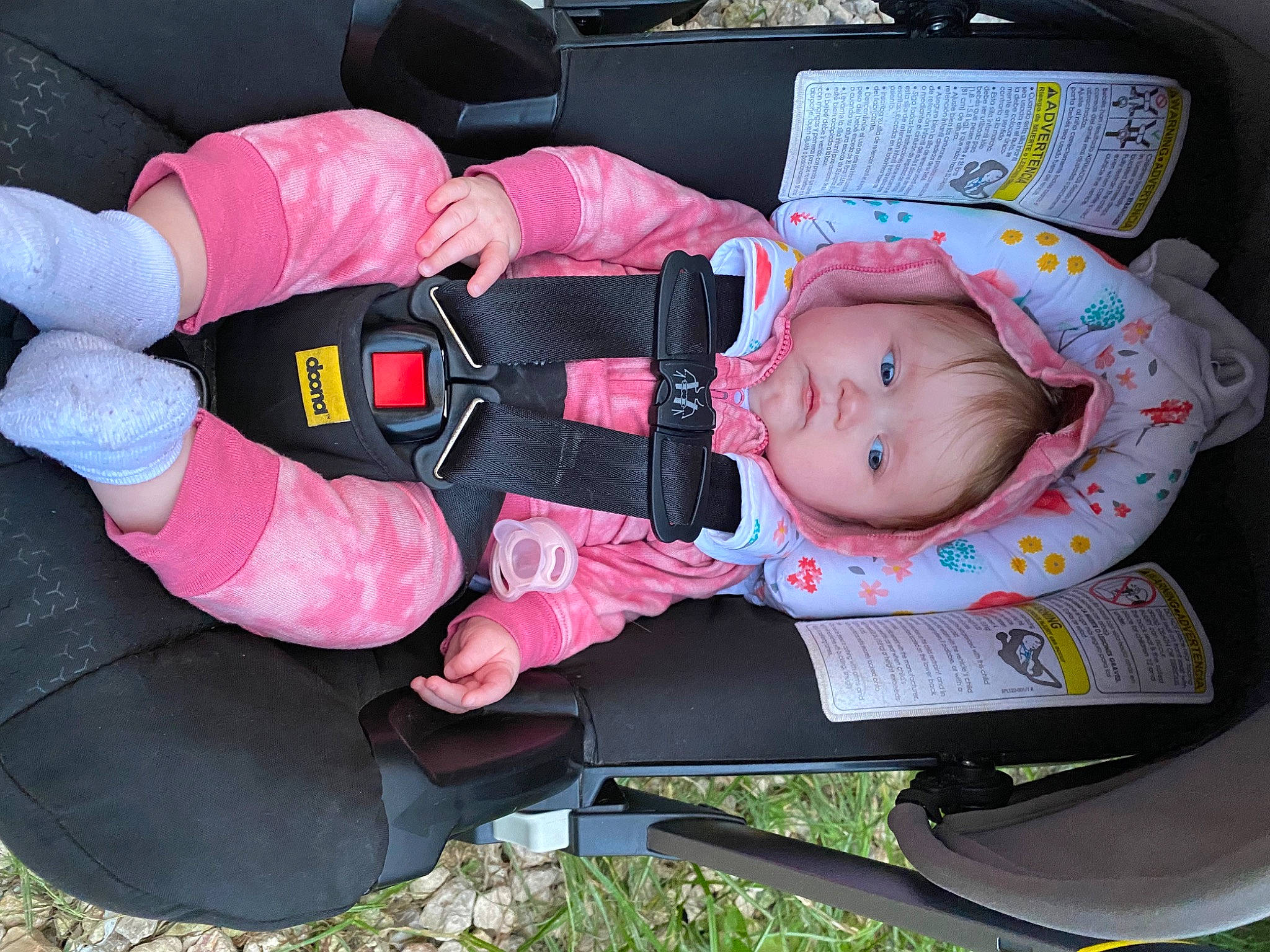 Amena is registered to the contest to win money with this photo: auto_part, baby, baby_carriage, baby_in_car_seat, baby_products, baby_toddler_clothing, car_seat, carmine, child, comfort, grass, lap, pattern, person, product, sitting, sock, toddler