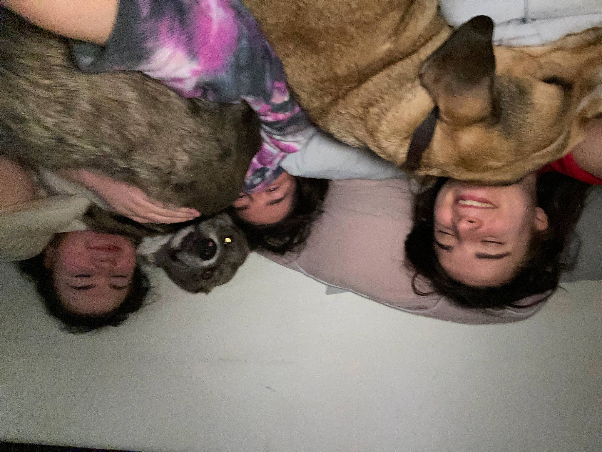 Kalvin joined the competition — help win amazing prizes! fawn, fun, fur, photography, selfie