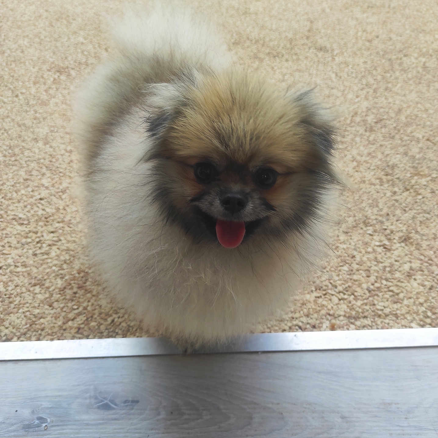 Vally