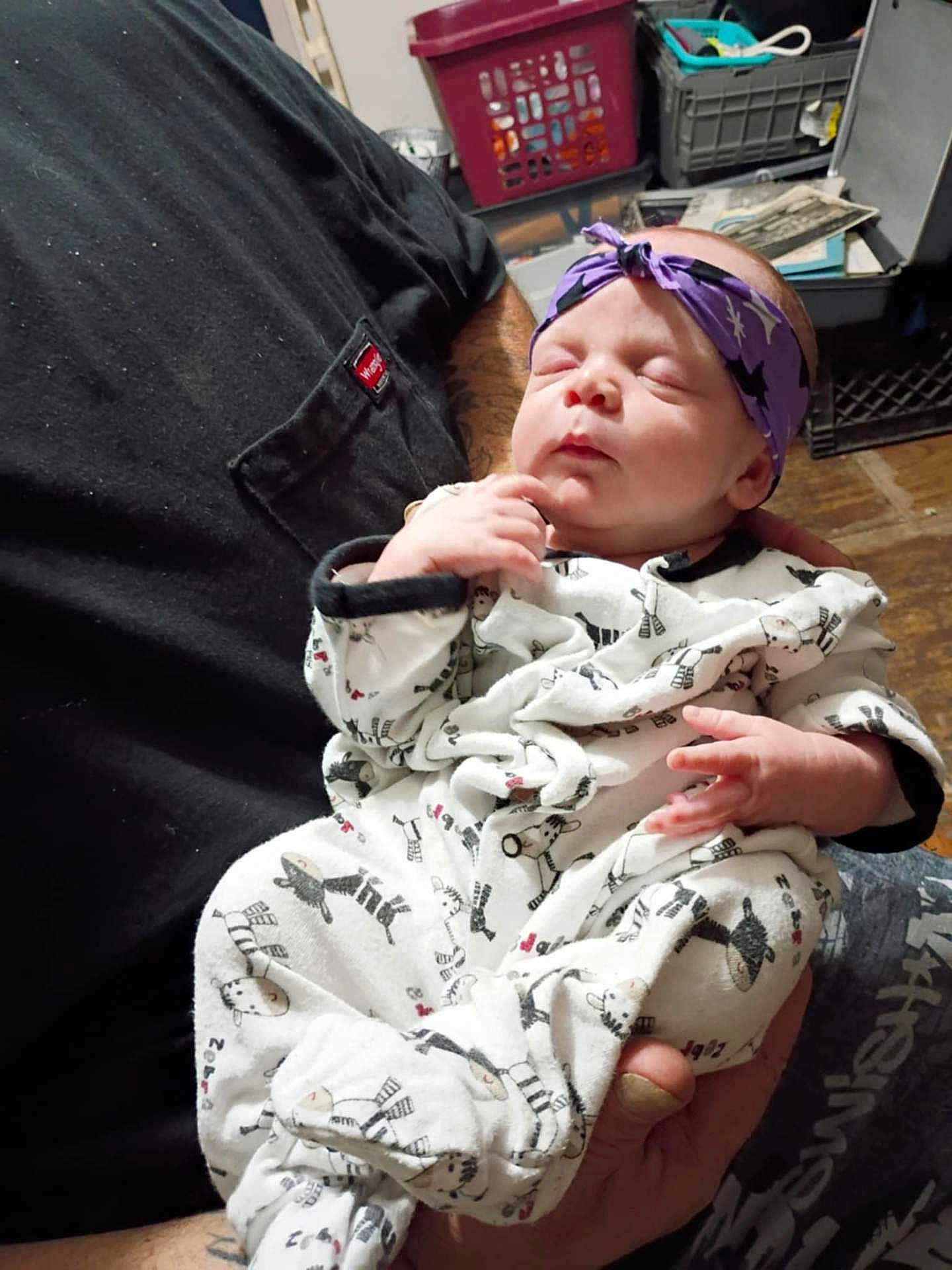 Lilith joined the competition — help win amazing prizes! newborn, baby, headband, onesie, animal_print, sleeping, person, indoor, hands, clothing, fabric, holding, cozy, basket, floor, tattoo, arm, purple, white, pattern