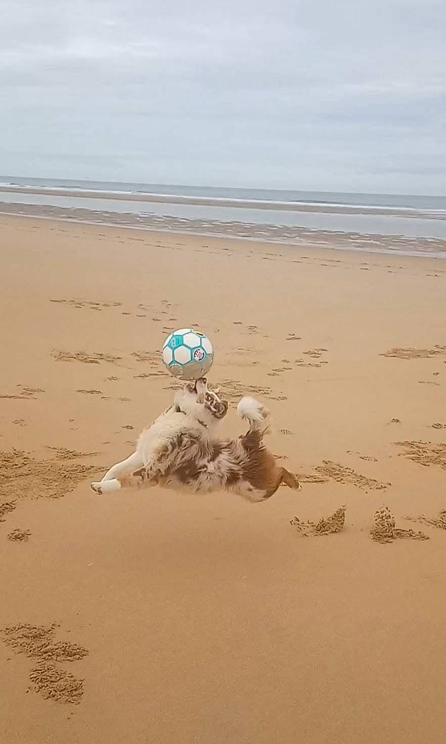 Thaïs a rejoint le concours — aidez-le/la à gagner de superbes lots ! aeolian_landform, beach, calm, cloud, coast, coastal_and_oceanic_landforms, ecoregion, footprint, fun, horizon, landscape, ocean, sand, singing_sand, sky, soil, water, wave, wind_wave, wood