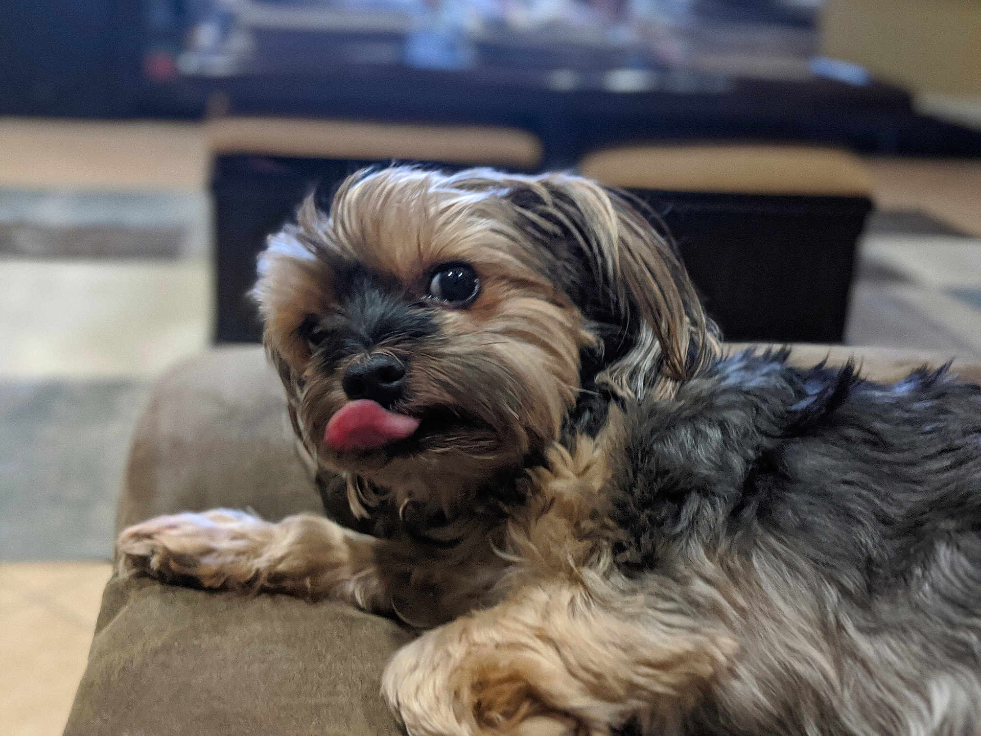 Milo