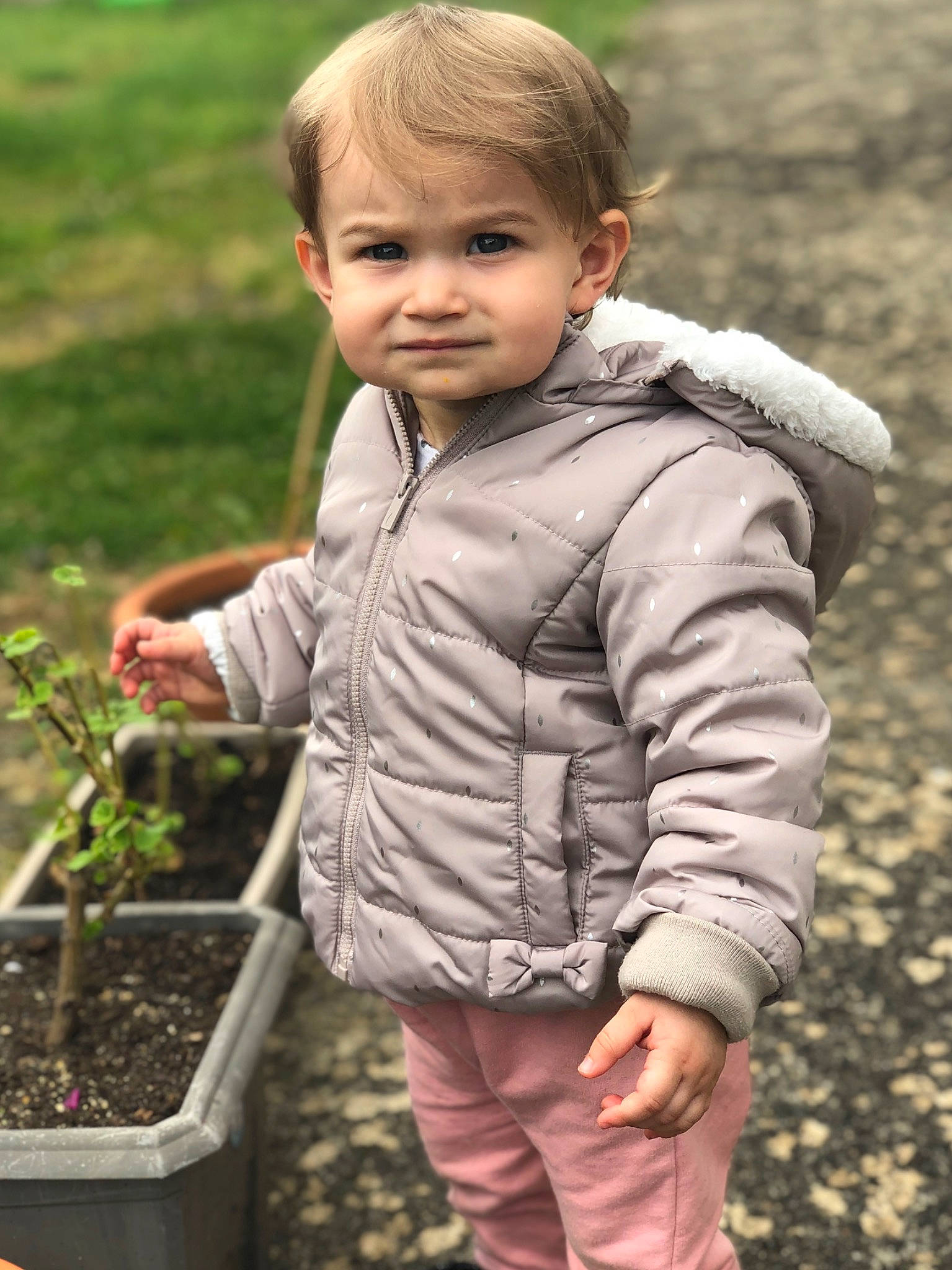 Mia participe au concours pour gagner de l'argent avec cette photo : baby, cheek, child, child_model, grass, jacket, outerwear, person, plant, play, skin, smile, soil, spring, toddler