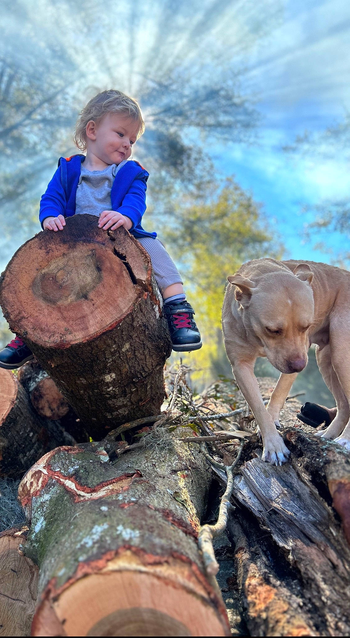 Jettson joined the competition — help win amazing prizes! carnivore, cloud, fawn, fun, grass, happy, landscape, mammal, membranophone, musical_instrument, people_in_nature, person, plant, recreation, sky, toddler, tree, vertebrate, wilderness, wood