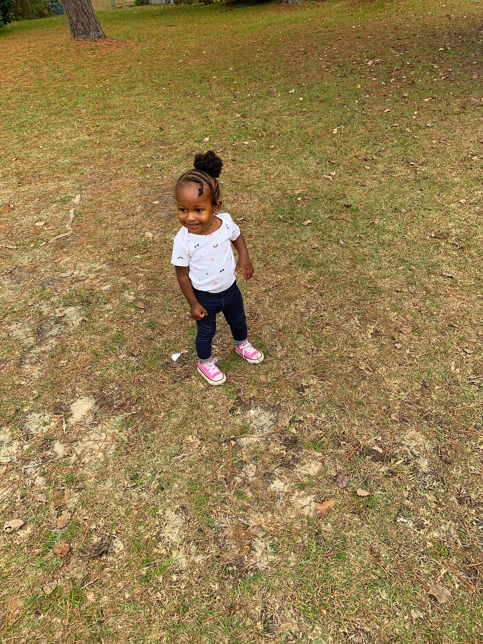 Kalani is registered to the contest to win money with this photo: child, fun, grass, joy, leisure, person, play, toddler, tree