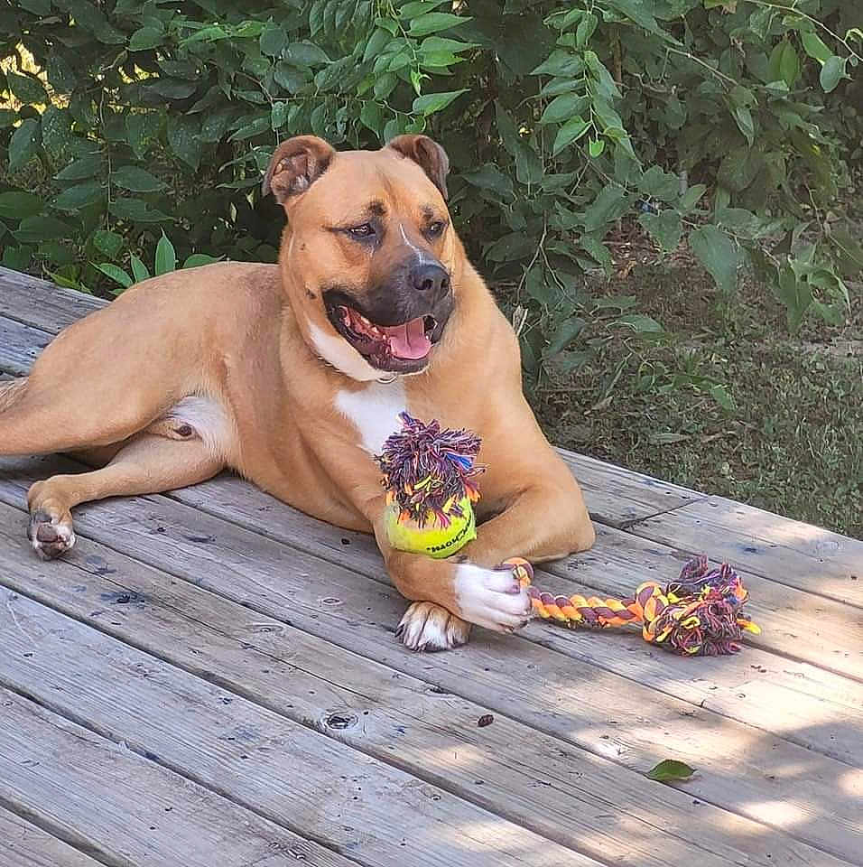 Max