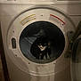 Mittens is registered to the contest to win money with this photo: cat, dryer, laundry, appliance, tuxedo_cat, indoor, curious, pet, black_and_white, household, door, metal, floor, shadow, Samsung, cylindrical, closed_door, domestic, feline, waiting