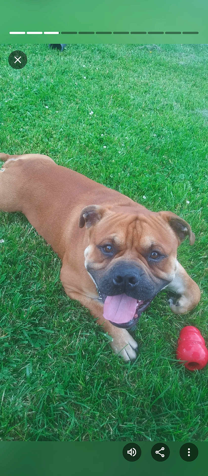 Zeus