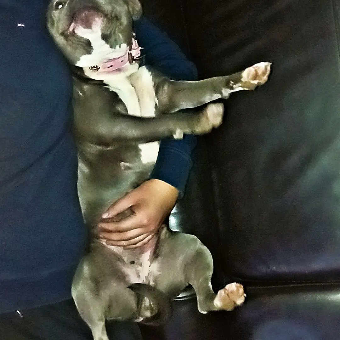 Ruby