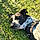 Aonva
