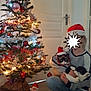 Bounty participe au concours pour gagner de l'argent avec cette photo : black, christmas, christmas_decoration, christmas_eve, christmas_ornament, christmas_tree, conifer, event, evergreen, hat, holiday, holiday_ornament, ornament, plant, red, room, snapshot, tradition, tree, window