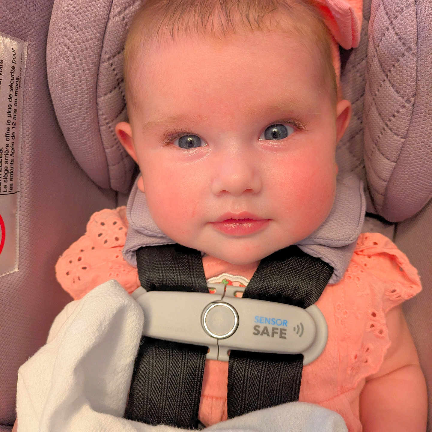 Sarah-Kate is registered to the contest to win money with this photo: baby, baby_girl, blanket, blue_eyes, bow, car_seat, child, closeup, cute, headband, indoor, infant, person, pink_clothing, portrait, rosy_cheeks, safety, seat_harness, seatbelt, soft_toy