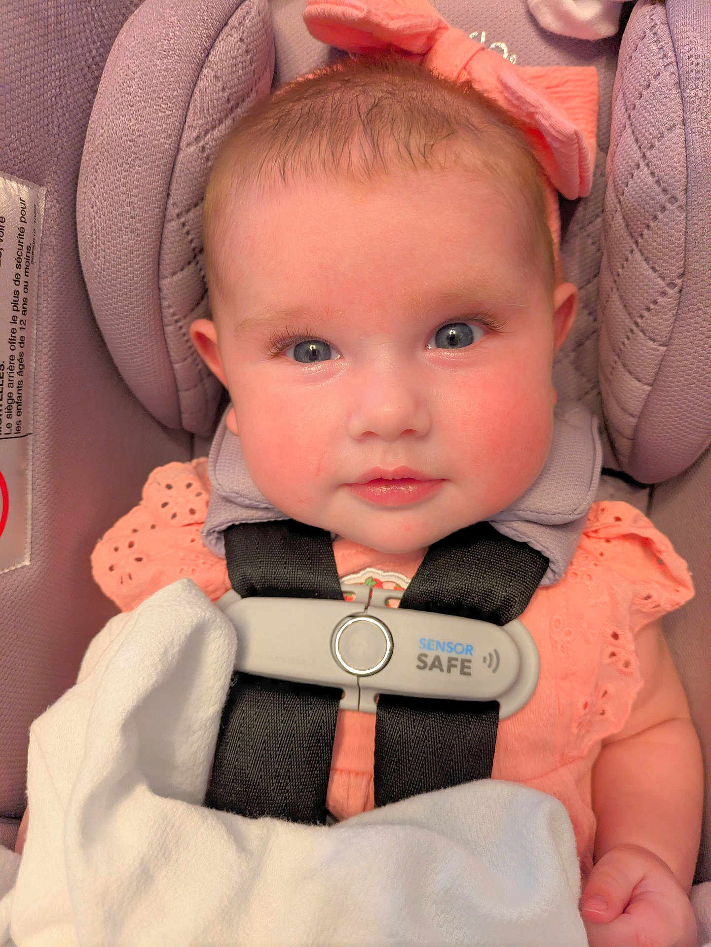 Sarah-Kate is registered to the contest to win money with this photo: baby, child, infant, car_seat, seatbelt, headband, bow, blanket, pink_clothing, blue_eyes, rosy_cheeks, closeup, portrait, cute, baby_girl, safety, seat_harness, soft_toy, indoor, person